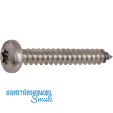 DIN7981C 4.8x 9.5 Torx25 verzinkt Linsen-Blechschraube ~ISO14585 DIN7981C 4.8x 9.5 Torx25 verzinkt Linsen-Blechschraube ~ISO14585