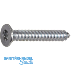 DIN7982C 3.9x 19 Torx20 verzinkt Senkkopf-Blechschraube ~ISO14586 DIN7982C 3.9x 19 Torx20 verzinkt Senkkopf-Blechschraube ~ISO14586