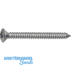 DIN7983C 4.2x 45 Phillips-KS verzinkt Linsensenkkopf-Blechschraube ~ISO7051 DIN7983C 4.2x 45 Phillips-KS verzinkt Linsensenkkopf-Blechschraube ~ISO7051