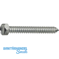 DIN7976C 6.3x 45 verzinkt Sechskantkopf-Blechschraube ~ISO1479