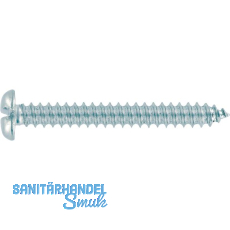 DIN7971C 4.8x 19 verzinkt Linsenkopf-Blechschraube