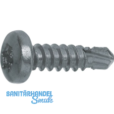 DIN7504N 4.2x 19 Torx20 verzinkt Linsen-Bohrschraube