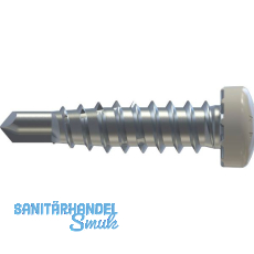 REISSER RP-r-LK-X REFABO Kantteilschraube 4.8x 20 Bimetall A2 - RAL9010 REISSER RP-r-LK-X REFABO Kantteilschraube 4.8x 20 Bimetall A2 - RAL9010