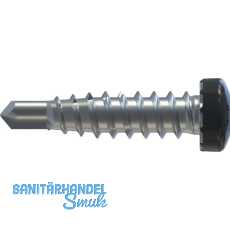 REISSER RP-r-LK-X REFABO Kantteilschraube 4.8x 20 Bimetall A2 - RAL7016 REISSER RP-r-LK-X REFABO Kantteilschraube 4.8x 20 Bimetall A2 - RAL7016