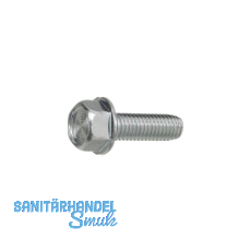 DIN7500DE (D) M 6x50 verzinkt gewindefurchende 6kt-Schraube mit Bund