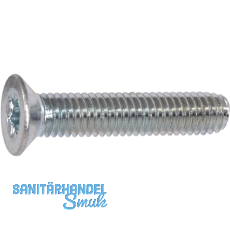 DIN7500ME (MT) M 6x30 Torx 30 verzinkt gewindefurchende Senkschr. DIN7500ME (MT) M 6x30 Torx 30 verzinkt gewindefurchende Senkschr.