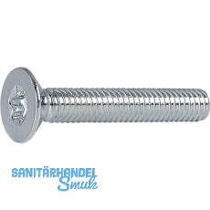 ISO14581 4.8 M 5x25 Torx 25 verzinkt Senkschraube