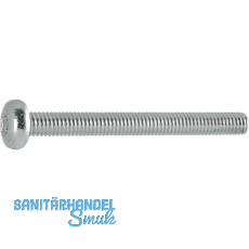 ISO14583 4.8 M 4x 6 Torx 20 verzinkt Linsenschraube (DIN7985A)