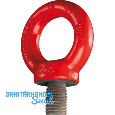 GK8 Ringschraube hochfest M24 rot mit CE Kennzeichnung GK8 Ringschraube hochfest M24 rot mit CE Kennzeichnung