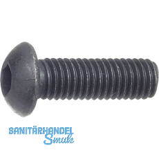 ISO7380-1 010.9 M 3x10 blank Linsenschraube mit Innensechskant