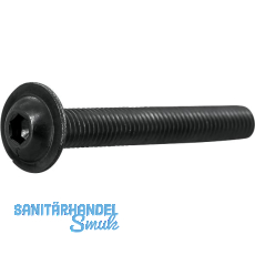 ISO7380-2 010.9 M 4x30 verzinkt-schwarz Linsenschraube mit Flansch und ISK