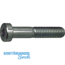 DIN7984 010.9 M12x 60 blank Zylinderschraube niedriger Kopf, Innensechskant