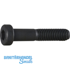 DIN6912 08.8 M 6x 30 blank Zylinderschraube niedriger Kopf und Innensechskt.