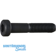 DIN6912 08.8 M 8x 50 blank Zylinderschraube niedriger Kopf und Innensechskt.