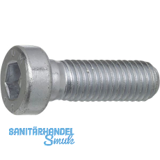 DIN6912 08.8 M10x 45 verzinkt Zylinderschraube niedriger Kopf, Innensechskant