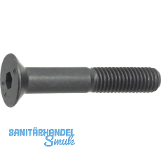 ISO10642 08.8 M 4x 6 blank Senkschraube mit Innensechskant (~DIN7991)