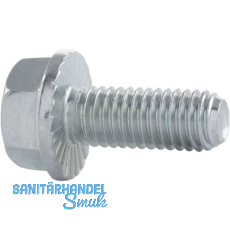 ECO-FIX 4.8 M 6x16 verzinkt Sechskantschraube mit Flansch für den Apparatebau ECO-FIX 4.8 M 6x16 verzinkt Sechskantschraube mit Flansch für den Apparatebau