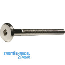 Flachkopfschraube M6x 60 Güte 4.8 verzinkt mit ISK SW 4 Flachkopfschraube M6x 60 Güte 4.8 verzinkt mit ISK SW 4