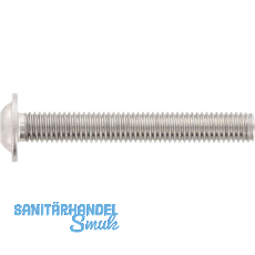 ~ISO7380-2 08.8 M 4x 6 verzinkt Linsenschraube mit Flansch TX10