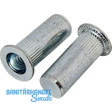 Blindnietmutter Flachrundkopf rändl. Rundsch. geschl. M 8x26.5 Stahl verzinkt Blindnietmutter Flachrundkopf rändl. Rundsch. geschl. M 8x26.5 Stahl verzinkt