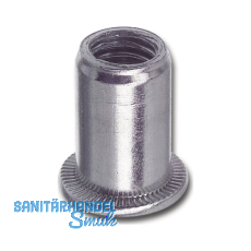 Blindnietmutter Flachkopf Unterkopfverzahnt Rundschaft offen M10 Stahl verzinkt Blindnietmutter Flachkopf Unterkopfverzahnt Rundschaft offen M10 Stahl verzinkt