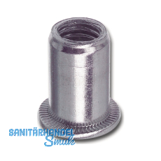 Feingewinde Blindnietmutter Flachkopf M10x1x21 Stahl verzinkt / SB-20 Feingewinde Blindnietmutter Flachkopf M10x1x21 Stahl verzinkt / SB-20