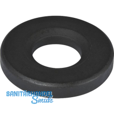 DIN6319G 19 blank Kugelscheibe DIN6319G 19 blank Kugelscheibe