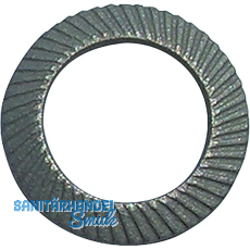 SCHNORR Sicherungsscheibe "S" M18 Federstahl mechanisch verzinkt