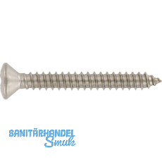 ISO14587 3.9x 16 Torx Edelstahl A2 Linsensenkkopf-Blechschraube