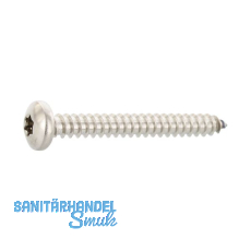 ISO14585 3.9x 13 Torx15 Edelstahl A4 Linsen-Blechschraube ~DIN7981C ISO14585 3.9x 13 Torx15 Edelstahl A4 Linsen-Blechschraube ~DIN7981C