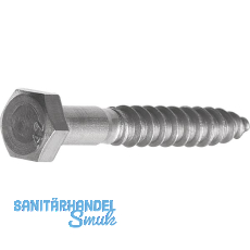 DIN571 8x160 Edelstahl A2 Gestellschraube (Schl�sselschraube)