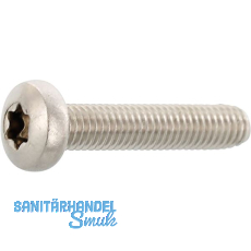 DIN7500PE (CT) Torx 30 M 6x 12 Edelstahl A2 gewindefurchende Linsenschraube DIN7500PE (CT) Torx 30 M 6x 12 Edelstahl A2 gewindefurchende Linsenschraube