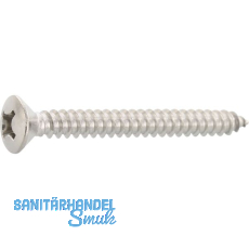 DIN7983C 5.5x 25 Phillips-KS Edelstahl A2 Linsensenkkopf-Blechschraube ~ISO7051 DIN7983C 5.5x 25 Phillips-KS Edelstahl A2 Linsensenkkopf-Blechschraube ~ISO7051