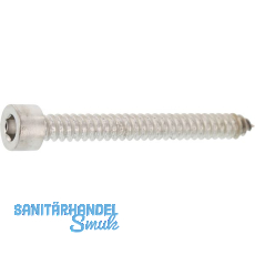 Blechschraube 5.5x 40 Edelstahl A2 mit Zylinderkopf ~912