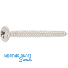 Fensterbankschraube 3.9x22 Phillips Kreuzschlitz Edelstahl A2