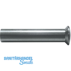 H�lsenmutter Linsenkopf mit Schlitz M4 x 25 Messing vernickelt