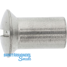 H�lsenmutter Linsensenkkopf M 8x 20 Edelstahl A4 mit Schlitz