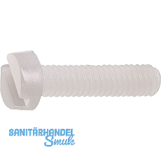 ~ISO1207 M 6x 16 PA 6.6 Polyamid natur Zylinderschraube mit Schlitz (~DIN84A)