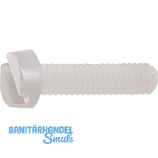 ~ISO1207 M 6x 20 PA 6.6 Polyamid natur Zylinderschraube mit Schlitz (~DIN84A)