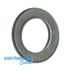 DIN1441 Dm 17 blank Scheibe grobe Ausführung DIN1441 Dm 17 blank Scheibe grobe Ausführung