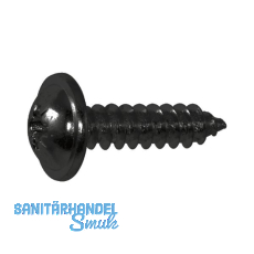 DIN968C 4.8x 19 Phillips Kreuzschlitz verzinkt schwarz Blechschraube mit Bund DIN968C 4.8x 19 Phillips Kreuzschlitz verzinkt schwarz Blechschraube mit Bund