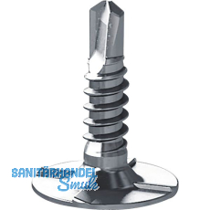 Tellerkopfschraube 4.8x19 GS