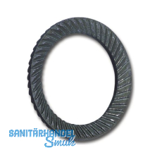 SCHNORR Sicherungsscheibe "S" M24 Federstahl blank