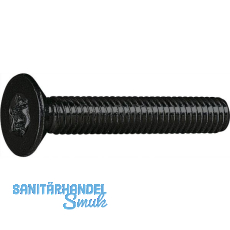 ISO14581 08.8 M 5x12 Torx 25 verzinkt-schwarz Senkschraube