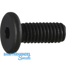 Zylinderschraube mit extrem niedrigem Kopf M 6x 20 G�te 10.9