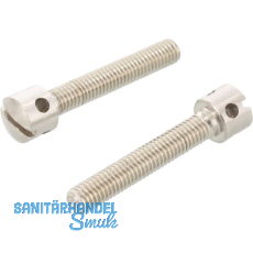 DIN404 M 5x 10 Edelstahl A1 Kreuzlochschraube mit Schlitz