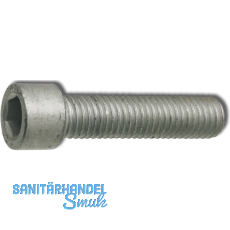 DIN7500EE M 6x25 verzinkt gewindefurchende Zylinderschraube DIN7500EE M 6x25 verzinkt gewindefurchende Zylinderschraube