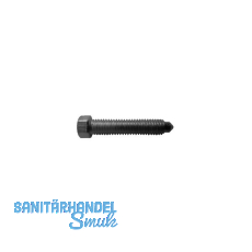 DIN564 M 6x 12 blank Sechskantschraube mit Ansatzspitze DIN564 M 6x 12 blank Sechskantschraube mit Ansatzspitze