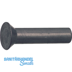 DIN661 3x 5 Stahl blank Senkniete