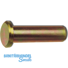 DIN1444 B18H11x65 Bolzen mit Kopf und Splintloch verzinkt